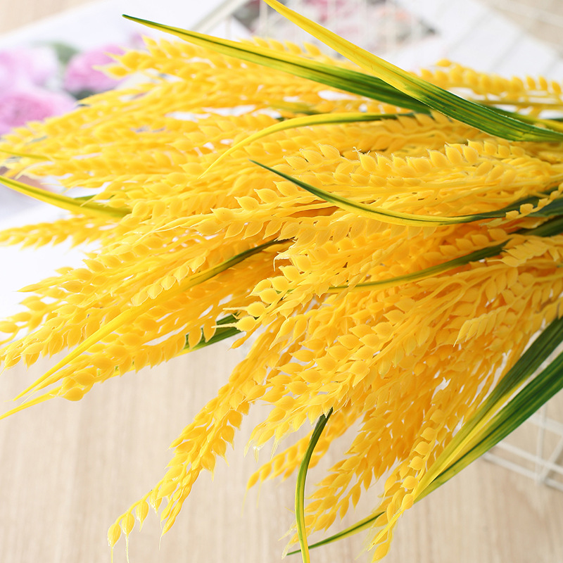 硅膠是食品級(jí)的嗎？